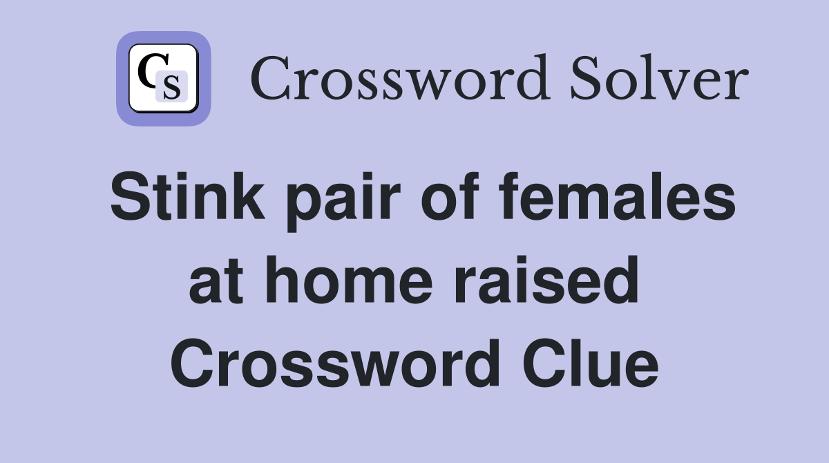 Stink pair of females at home raised Crossword Clue