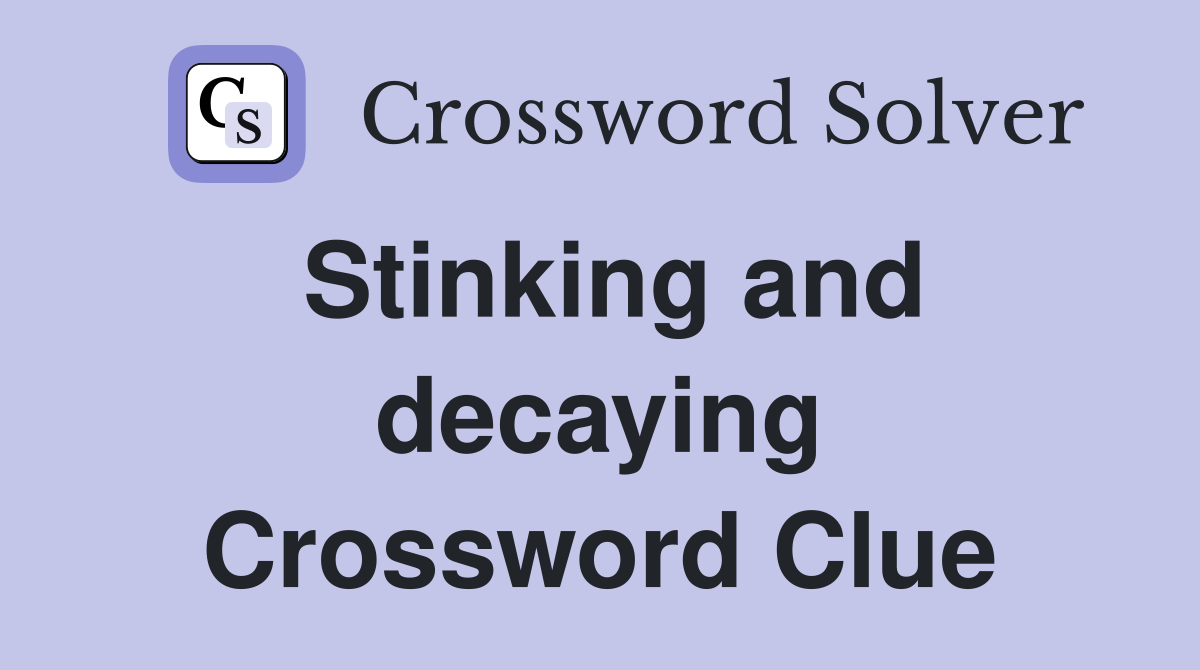 Stinking and decaying Crossword Clue