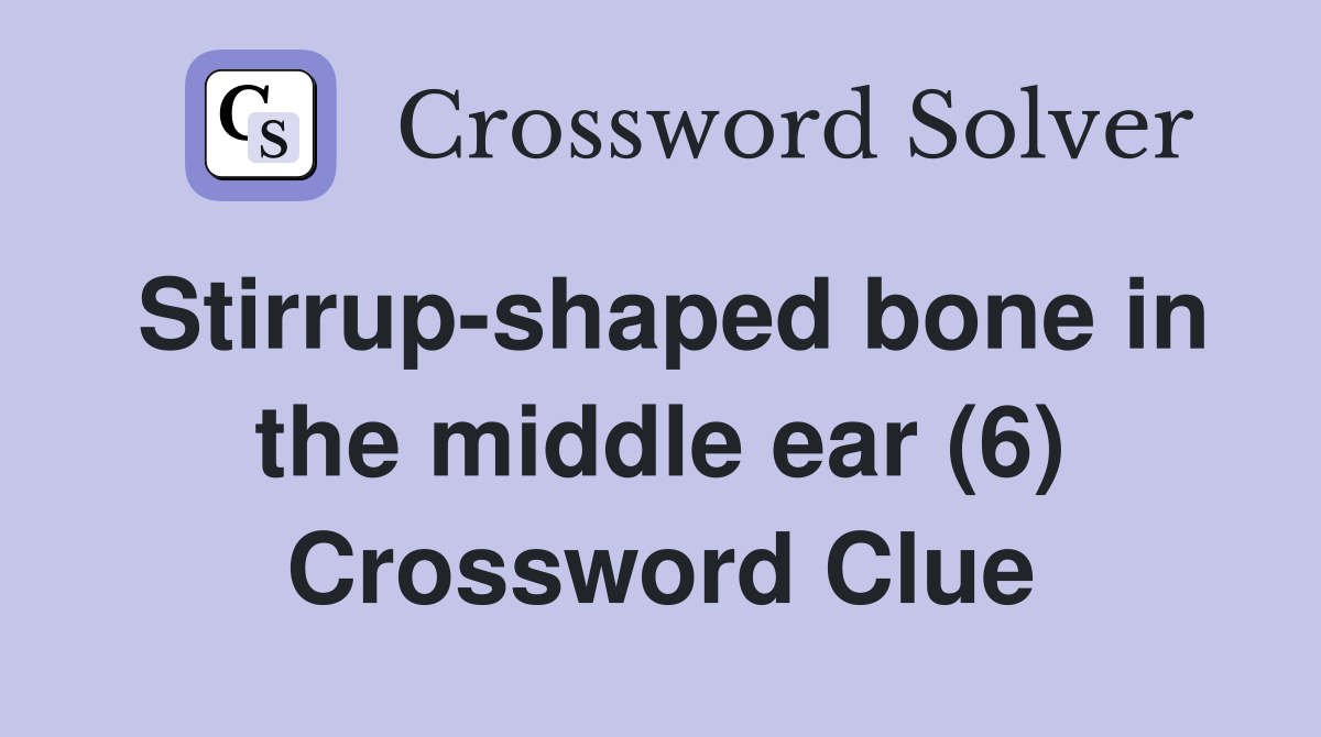 Stirrup-shaped bone in the middle ear (6) Crossword Clue