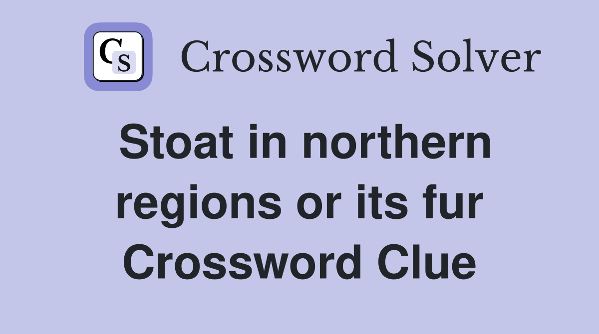 Stoat in northern regions or its fur Crossword Clue