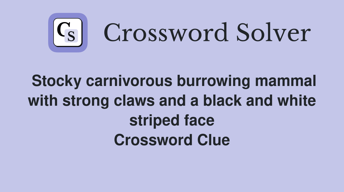 Stocky carnivorous burrowing mammal with strong claws and a black and white striped face Crossword Clue