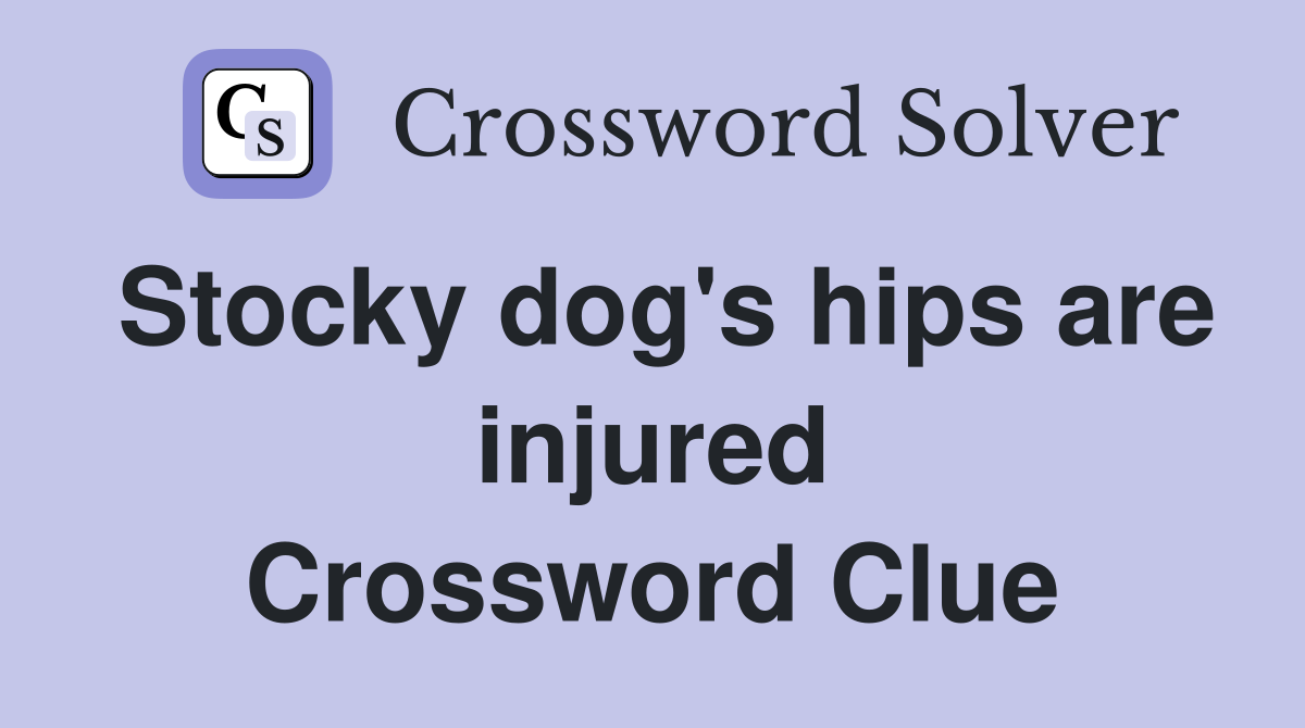 Stocky dog's hips are injured Crossword Clue