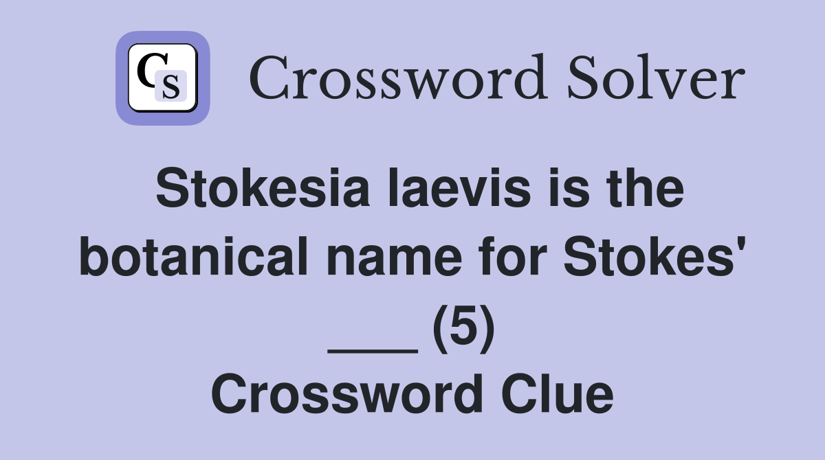 Stokesia laevis is the botanical name for Stokes' ___ (5) Crossword Clue