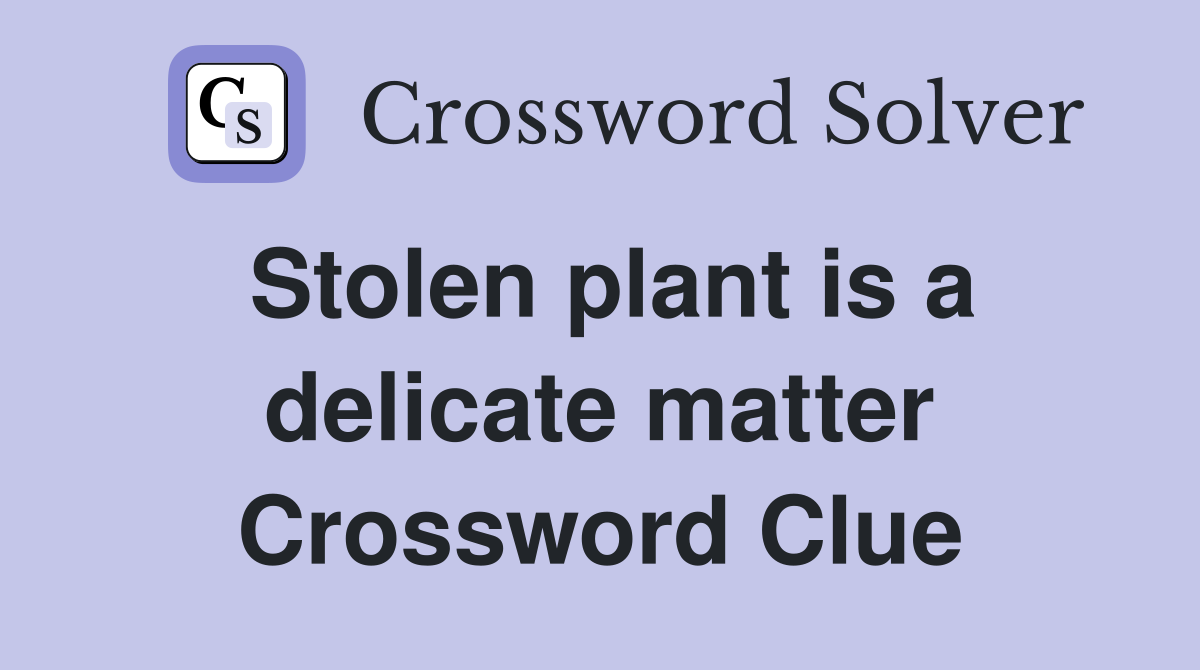 Stolen plant is a delicate matter Crossword Clue