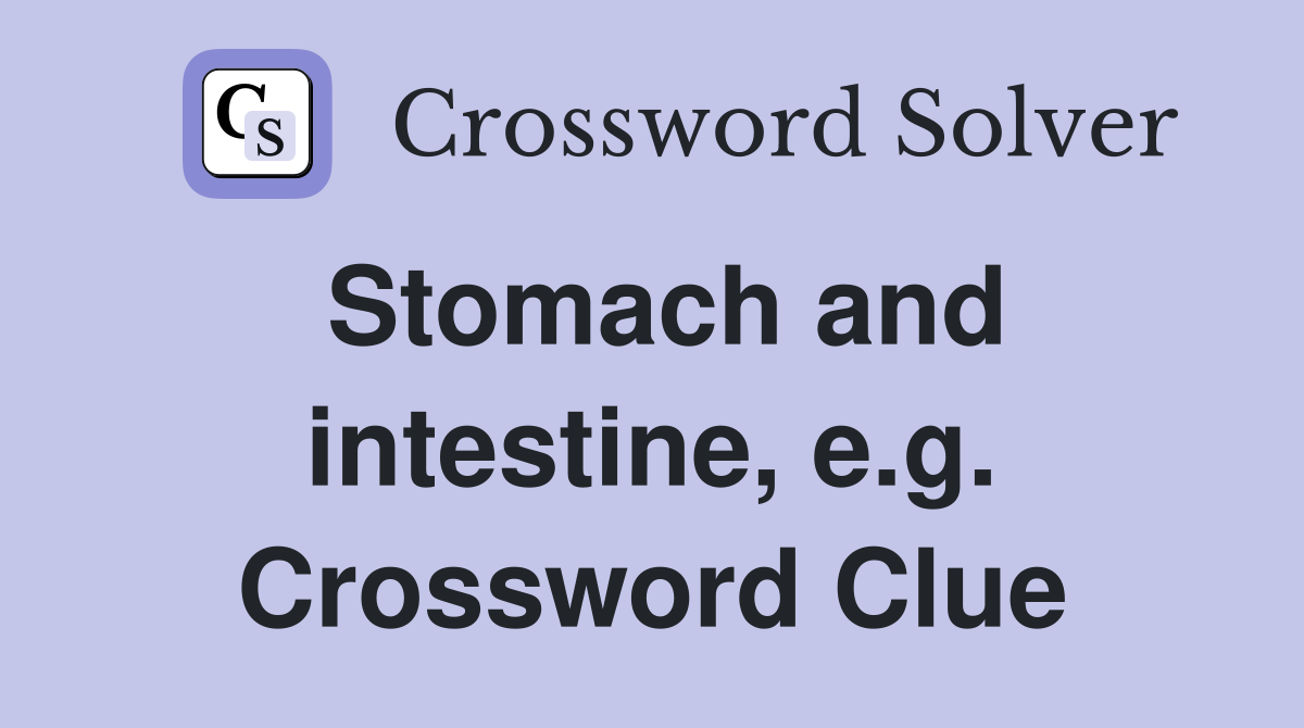 Stomach and intestine, e.g. Crossword Clue