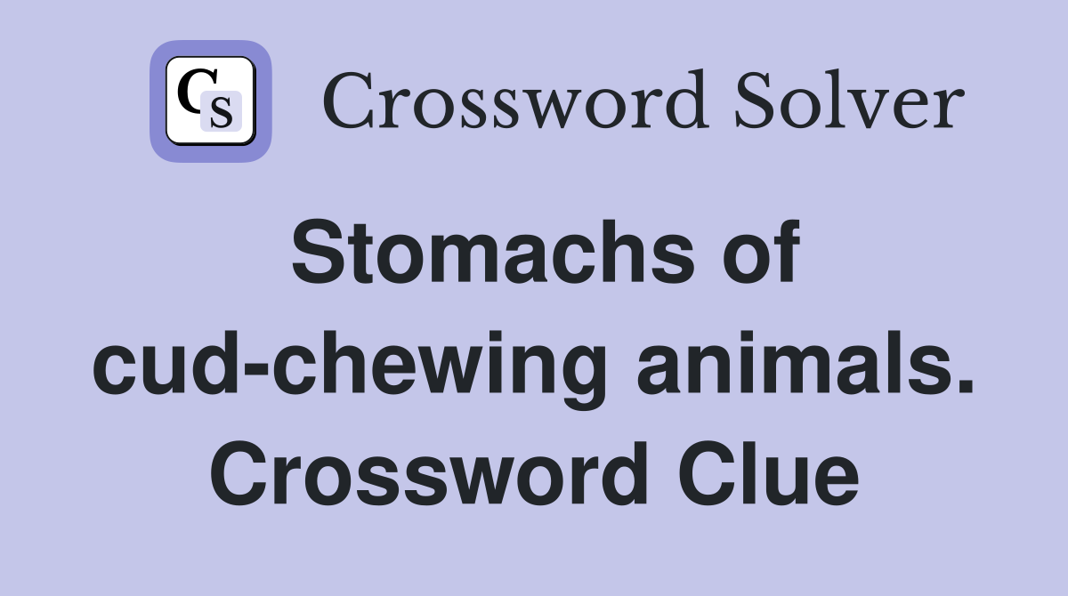 Stomachs of cud-chewing animals. Crossword Clue