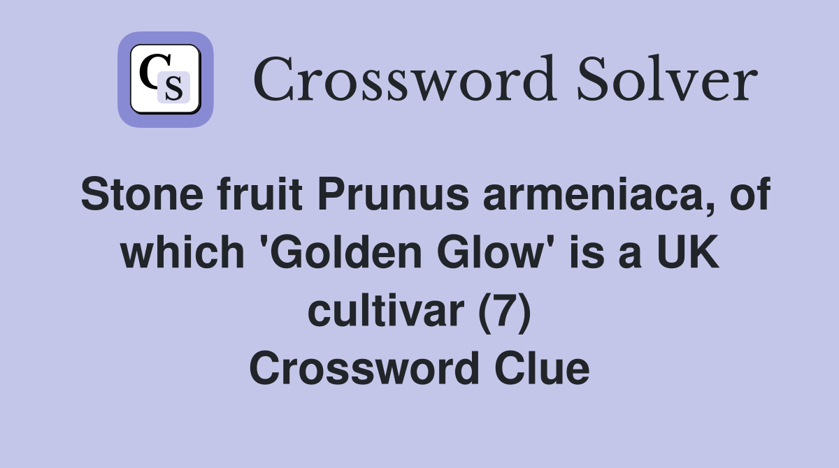 Stone fruit Prunus armeniaca, of which 'Golden Glow' is a UK cultivar (7) Crossword Clue