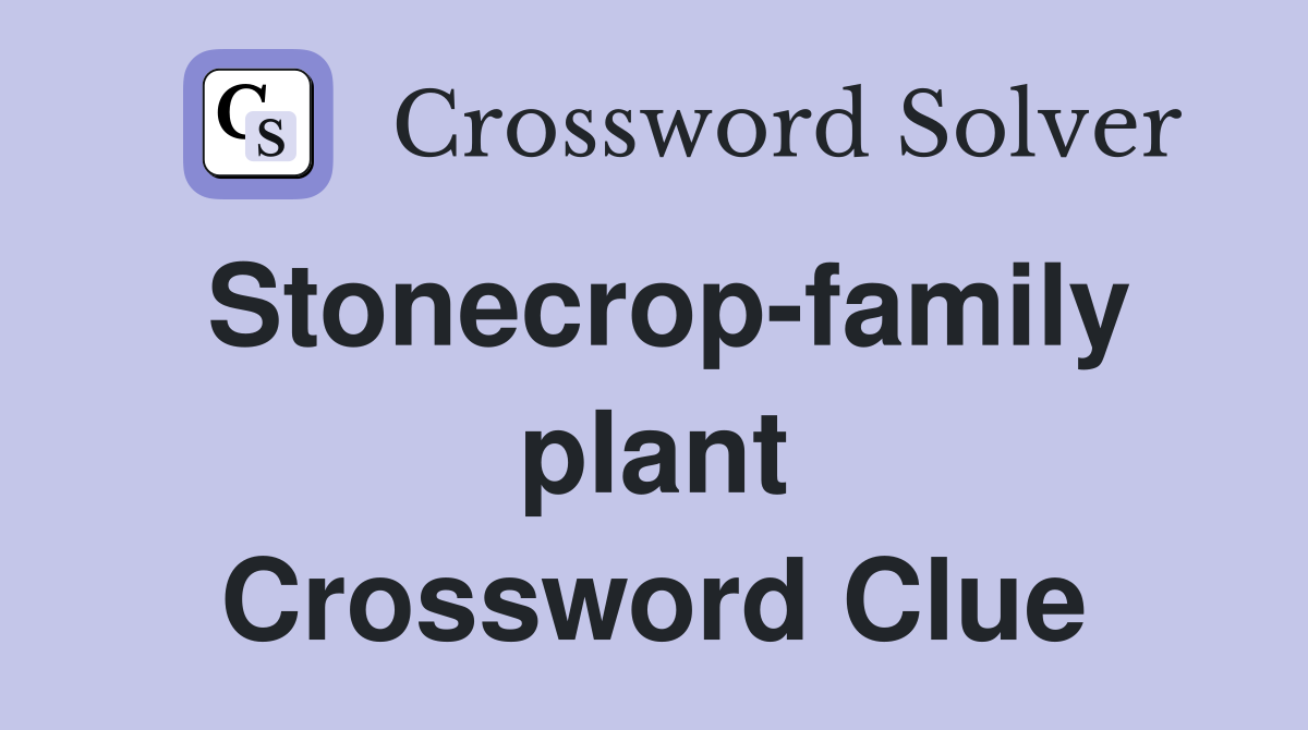 Stonecrop-family plant Crossword Clue