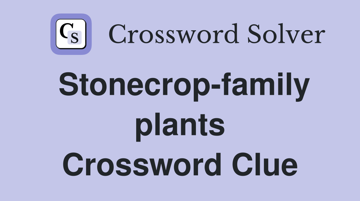 Stonecrop-family plants Crossword Clue