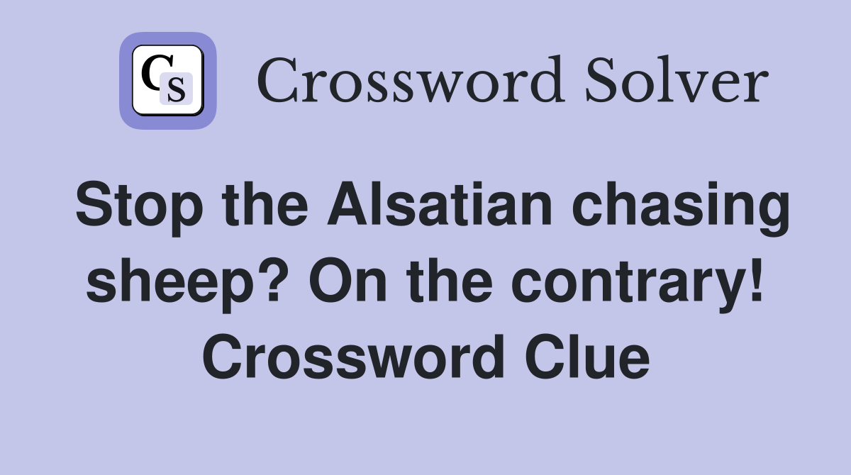 Stop the Alsatian chasing sheep? On the contrary! Crossword Clue