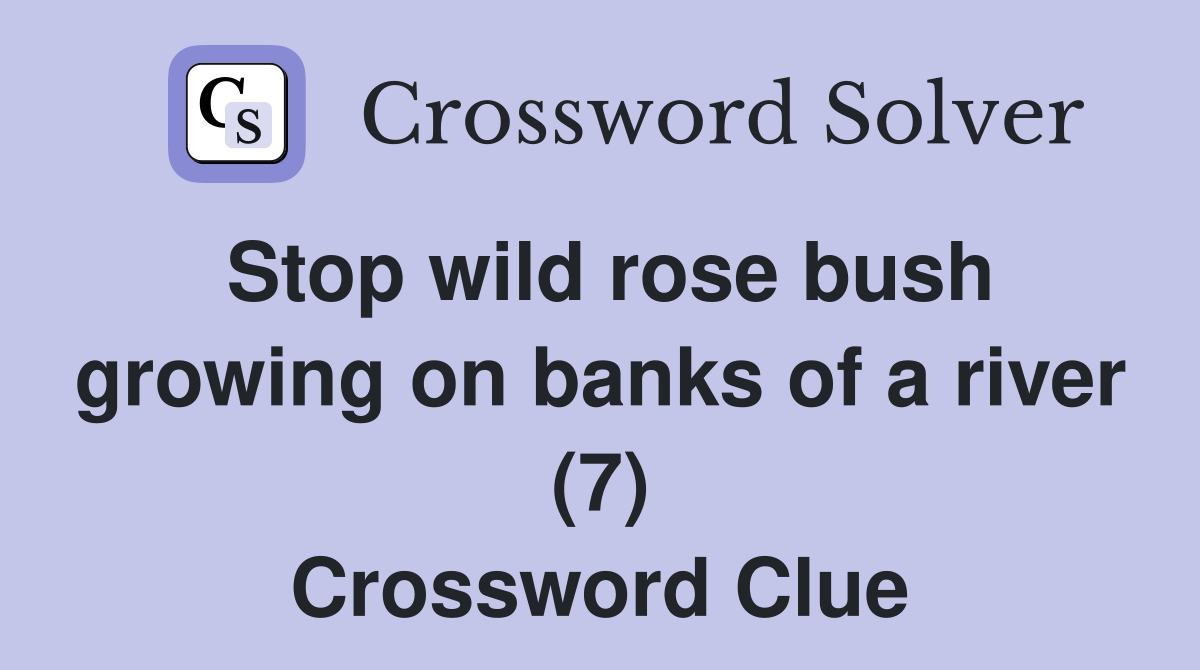 Stop wild rose bush growing on banks of a river (7) Crossword Clue