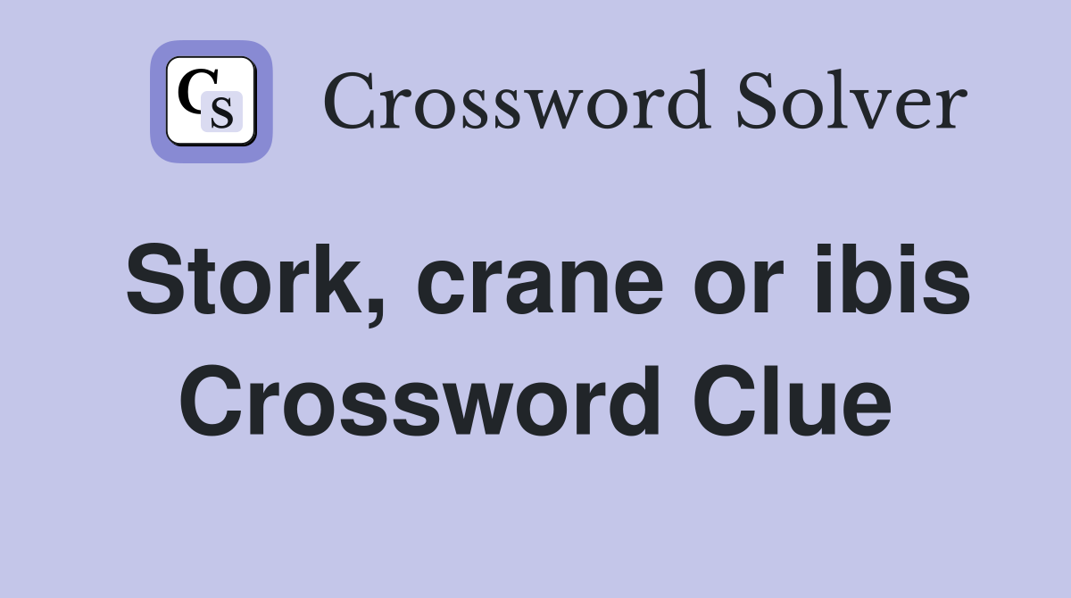 Stork, crane or ibis Crossword Clue