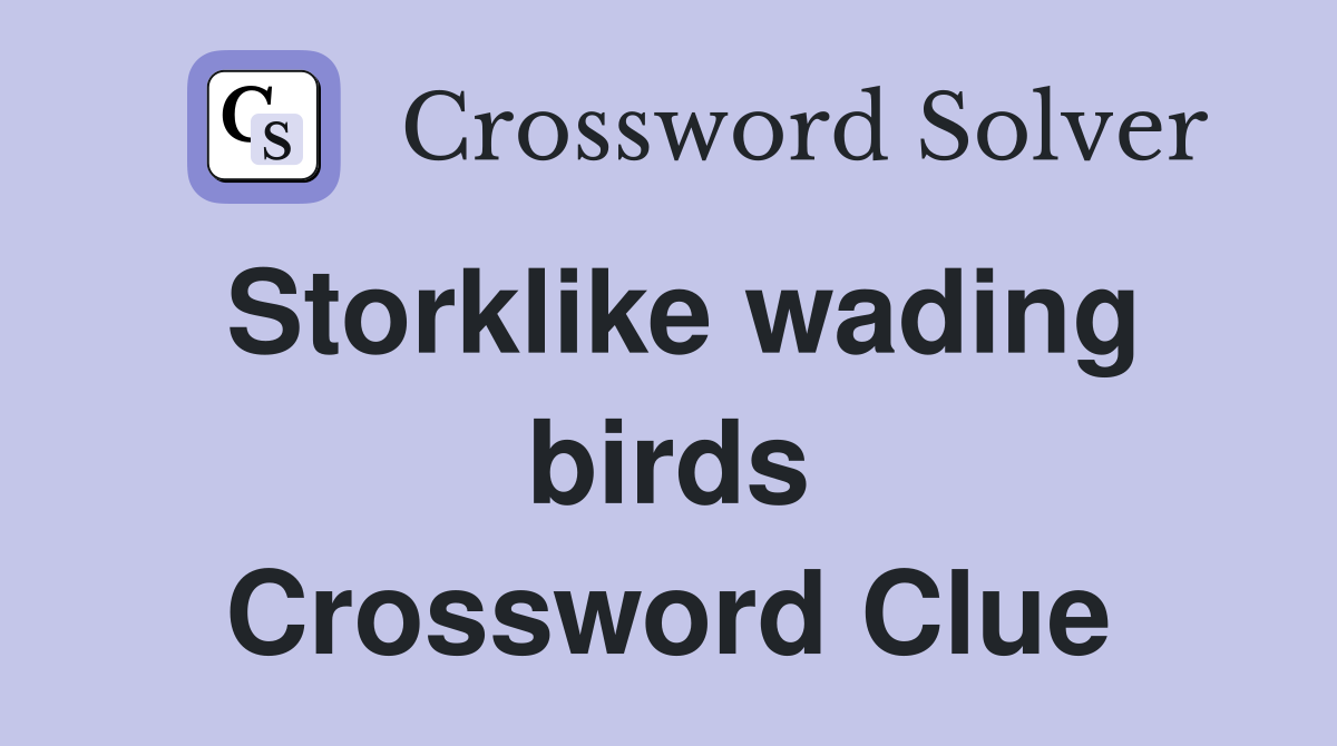 Storklike wading birds Crossword Clue