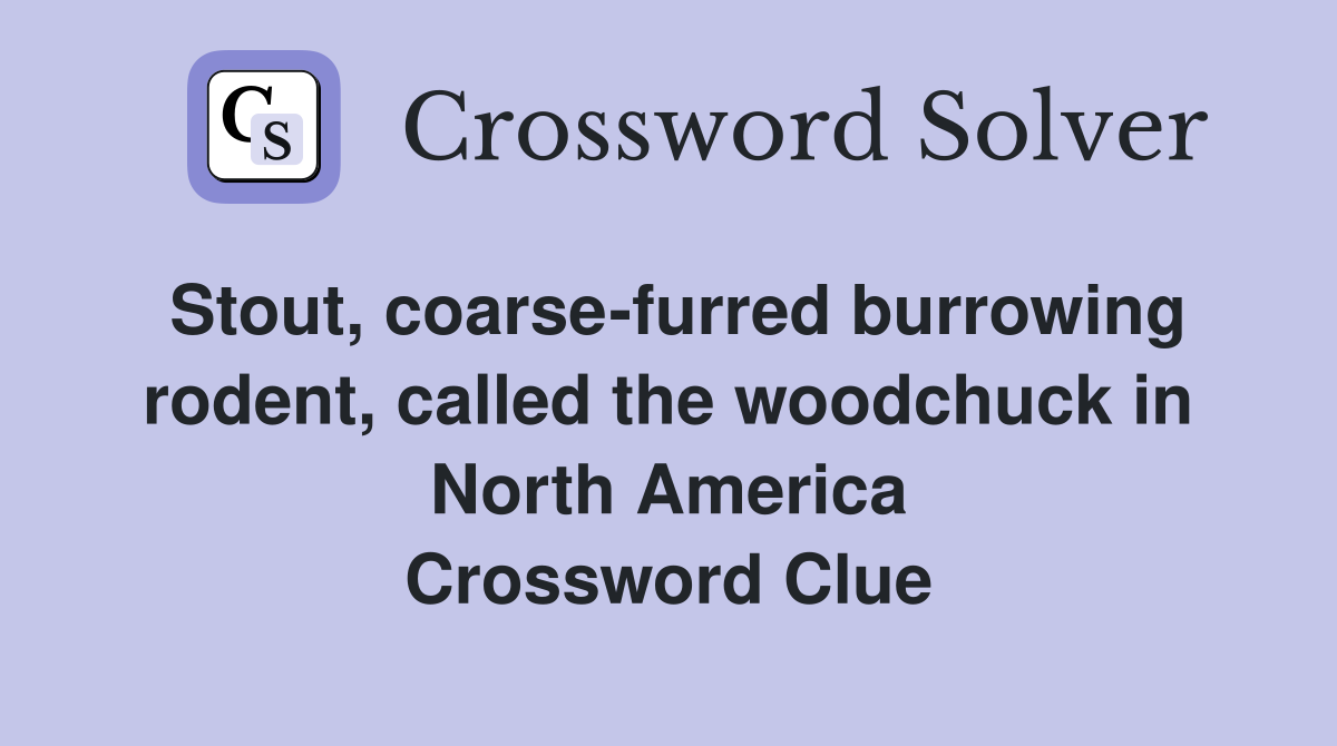 Stout, coarse-furred burrowing rodent, called the woodchuck in North America Crossword Clue
