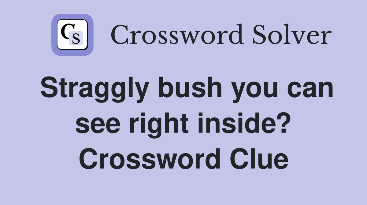 Straggly bush you can see right inside? Crossword Clue