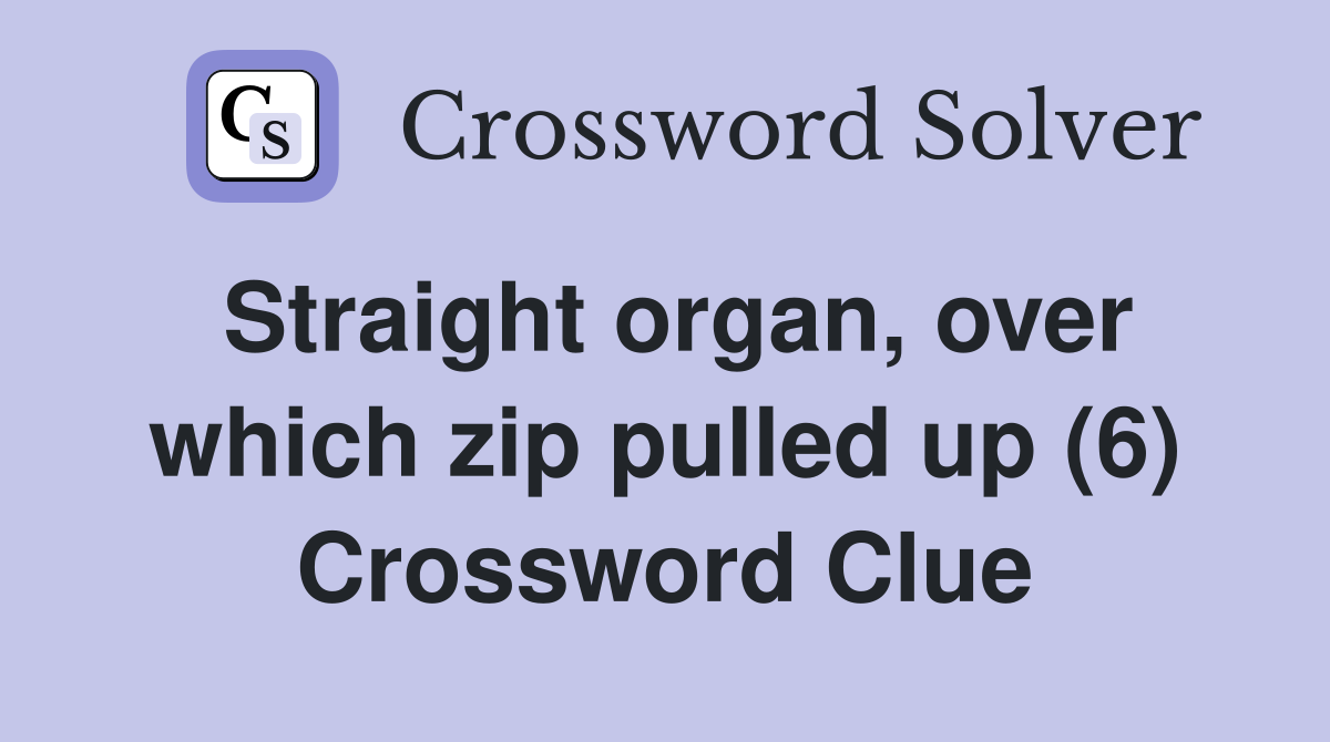 Straight organ, over which zip pulled up (6) Crossword Clue