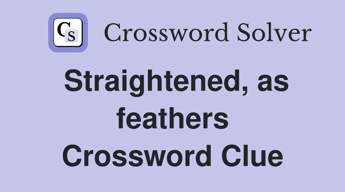 Straightened, as feathers Crossword Clue