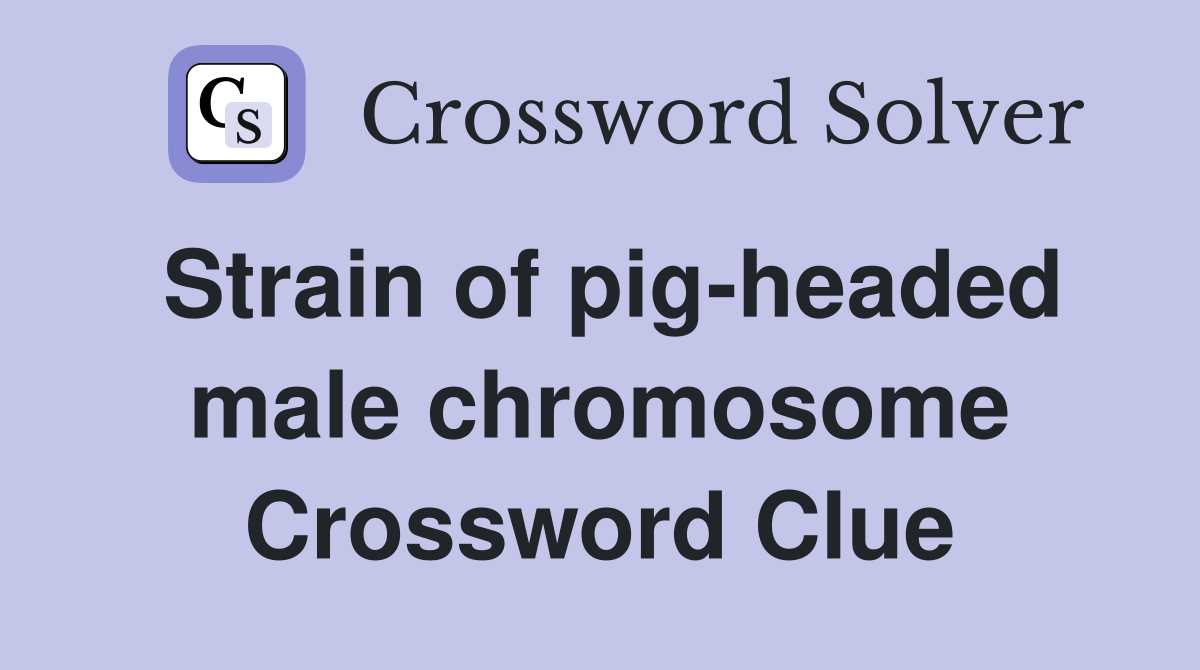 Strain of pig-headed male chromosome Crossword Clue