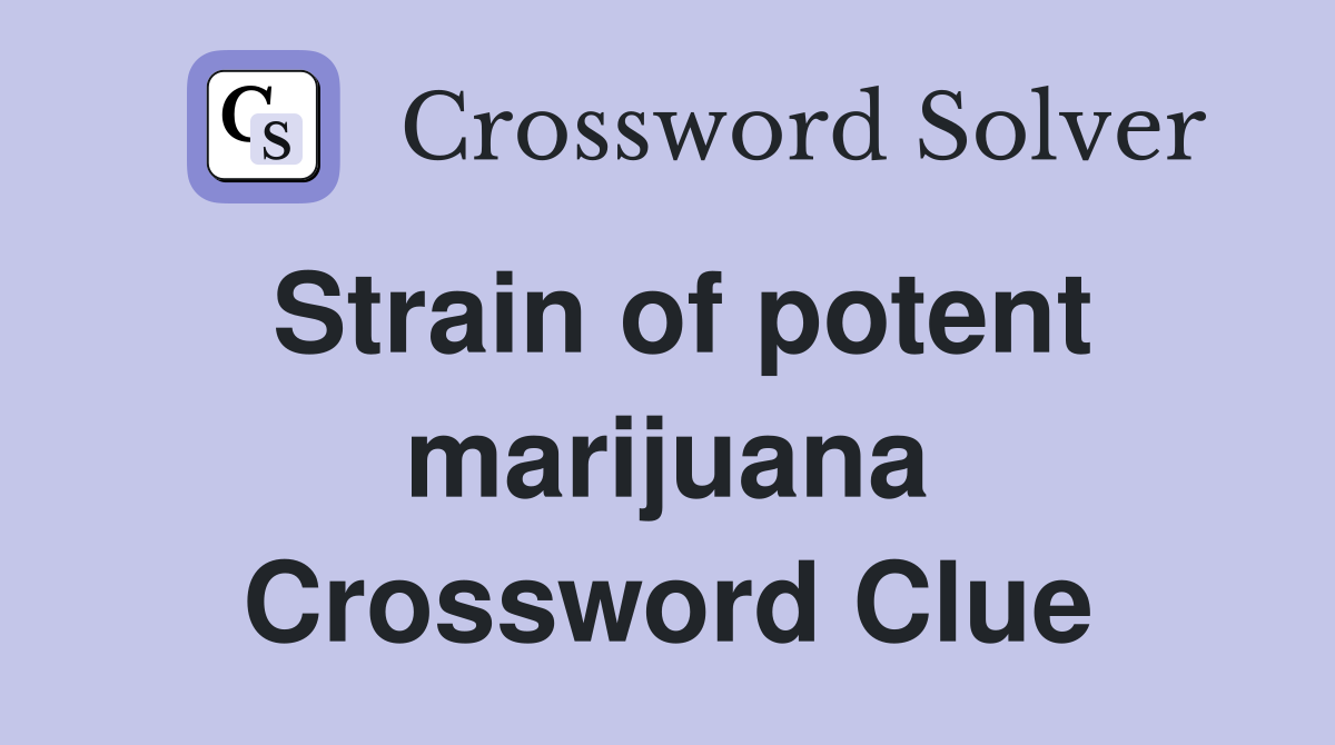 Strain of potent marijuana Crossword Clue