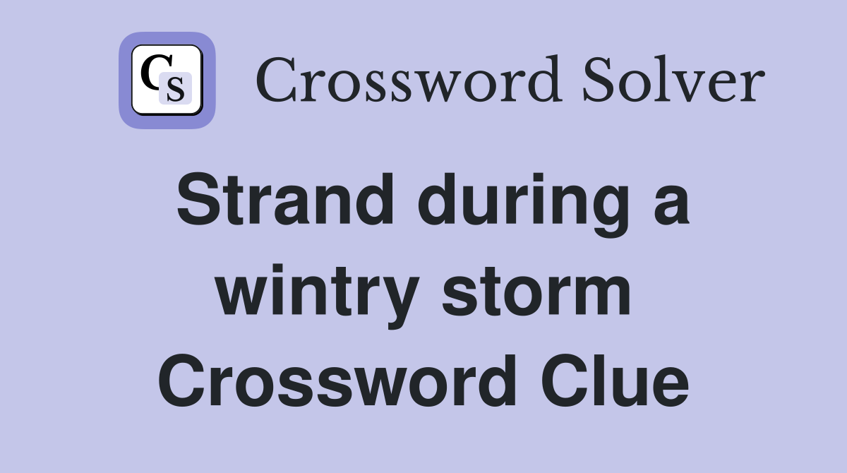 Strand during a wintry storm Crossword Clue