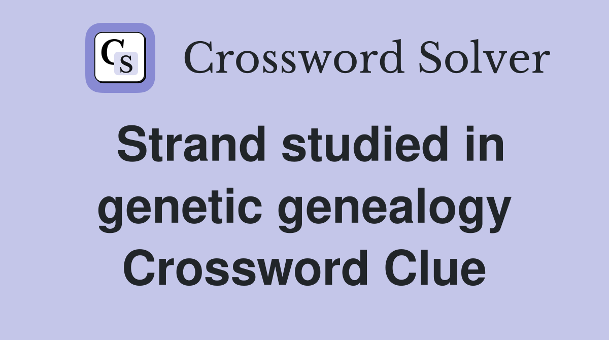 Strand studied in genetic genealogy Crossword Clue