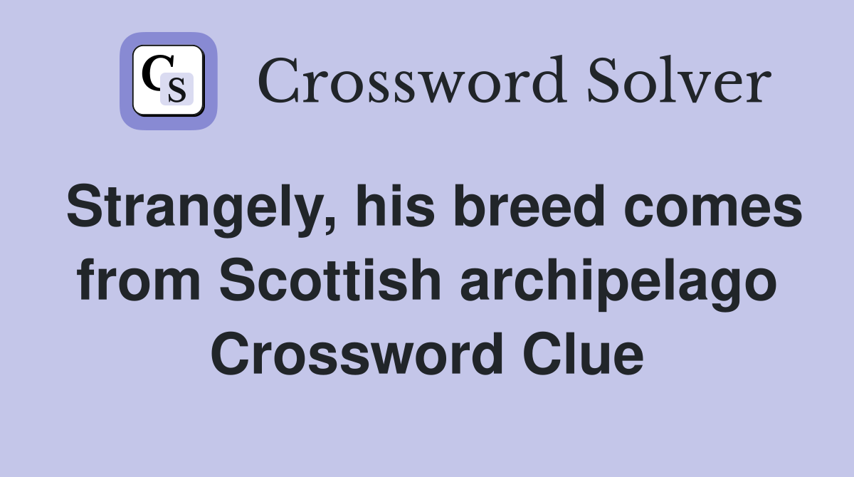Strangely, his breed comes from Scottish archipelago Crossword Clue