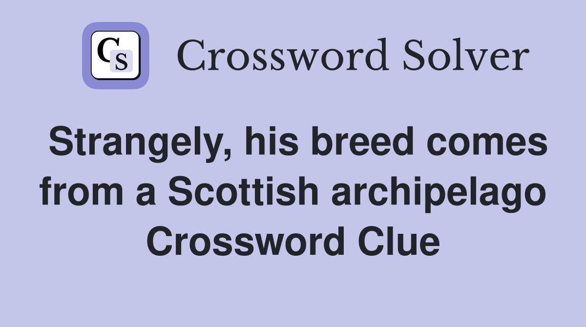 Strangely, his breed comes from a Scottish archipelago Crossword Clue