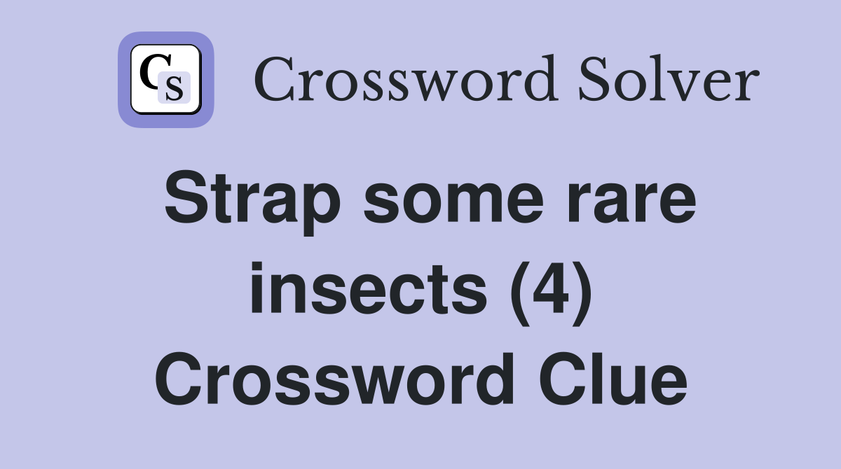 Strap some rare insects (4) Crossword Clue