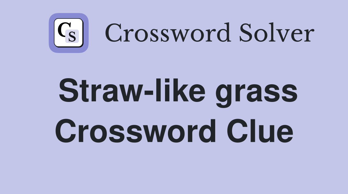 Straw-like grass Crossword Clue