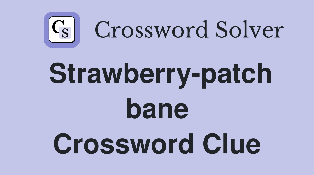 Strawberry-patch bane Crossword Clue
