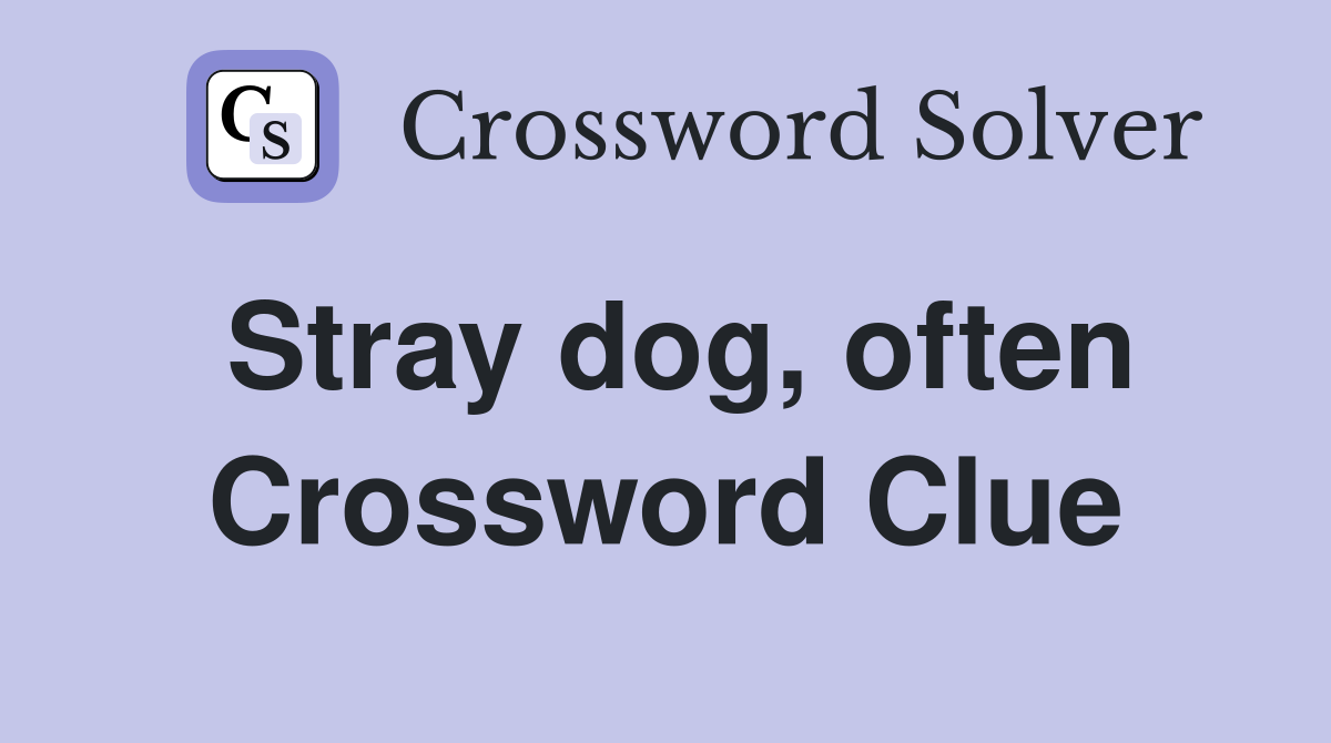 Stray dog, often Crossword Clue