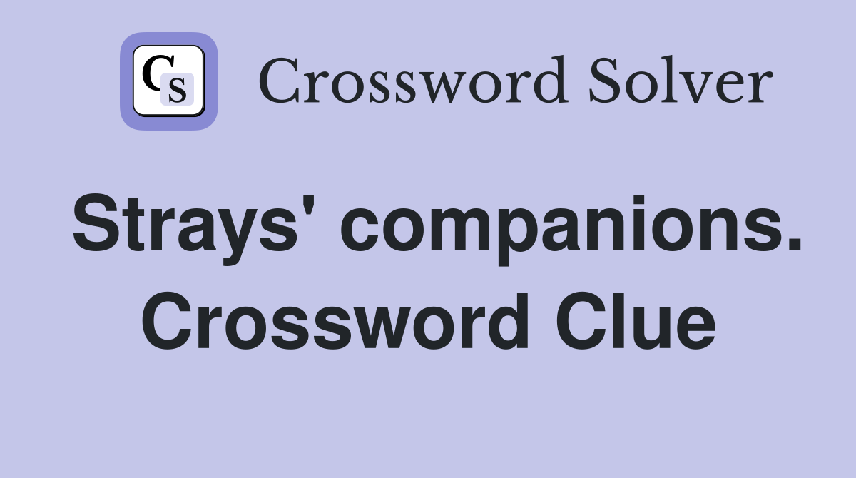 Strays' companions. Crossword Clue