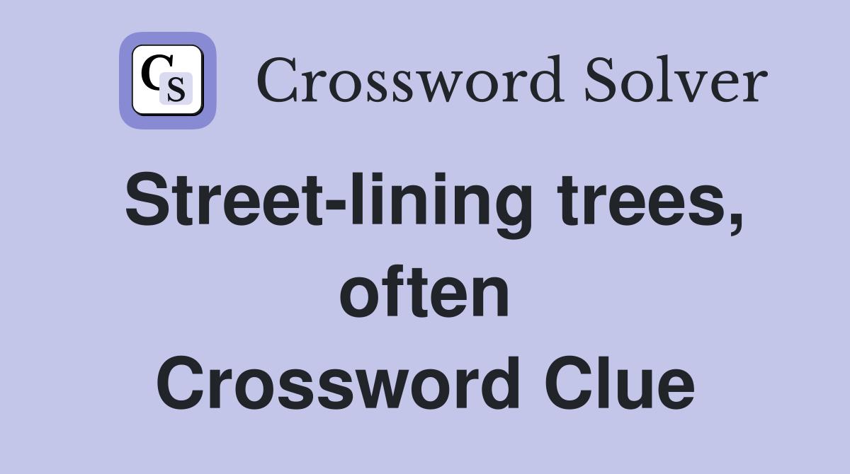 Street-lining trees, often Crossword Clue