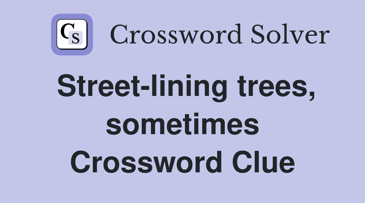 Street-lining trees, sometimes Crossword Clue