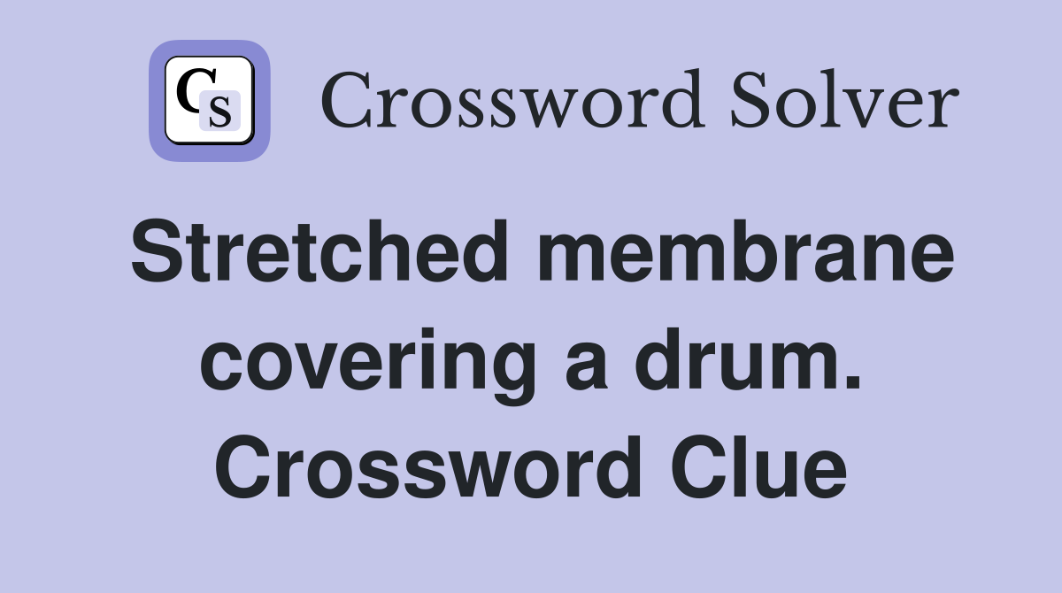 Stretched membrane covering a drum. Crossword Clue