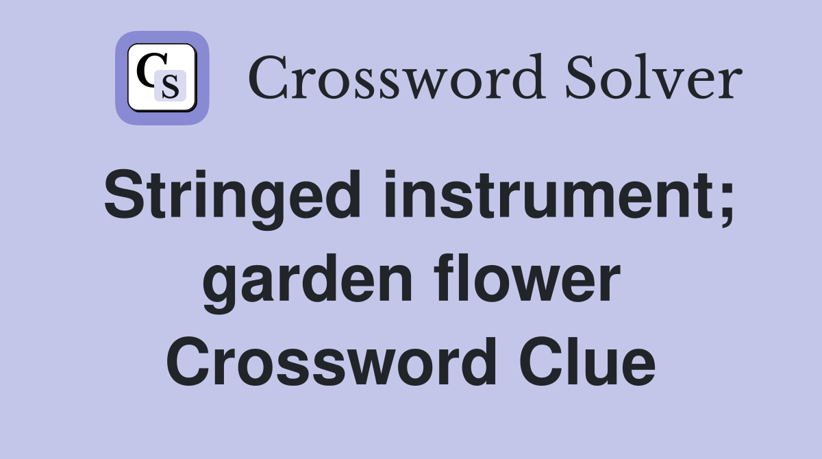Stringed instrument; garden flower Crossword Clue