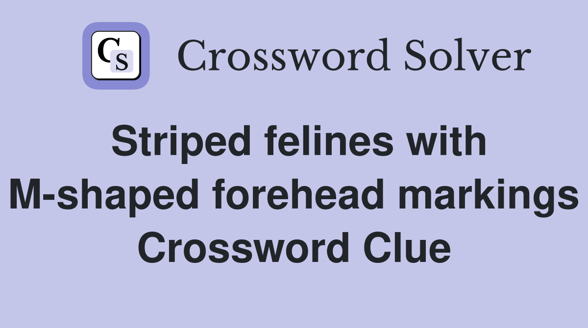 Striped felines with M-shaped forehead markings Crossword Clue