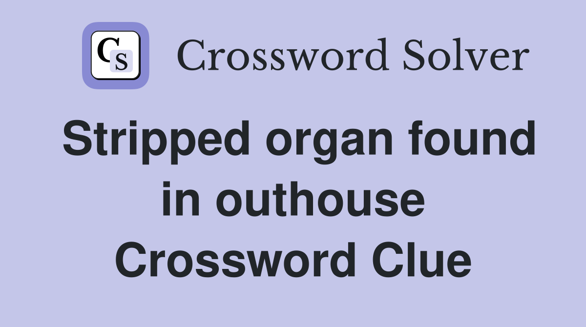 Stripped organ found in outhouse Crossword Clue