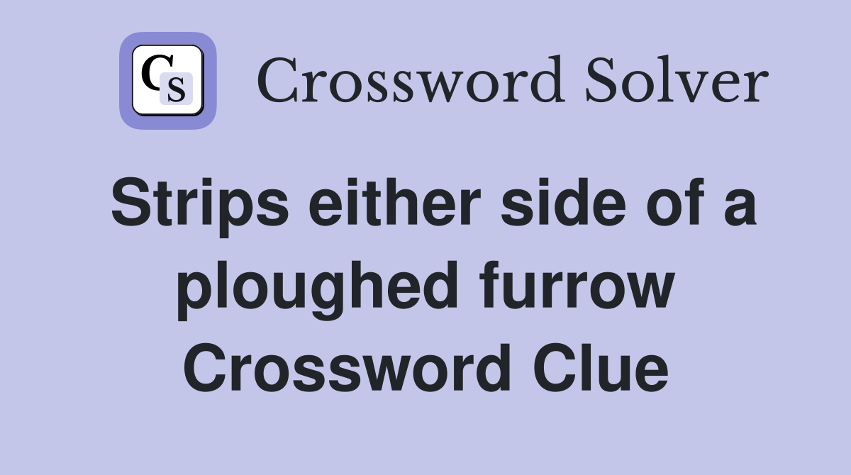 Strips either side of a ploughed furrow Crossword Clue