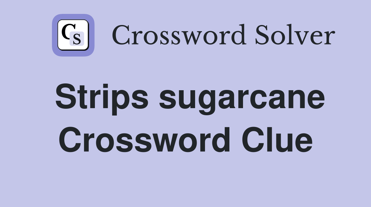 Strips sugarcane Crossword Clue