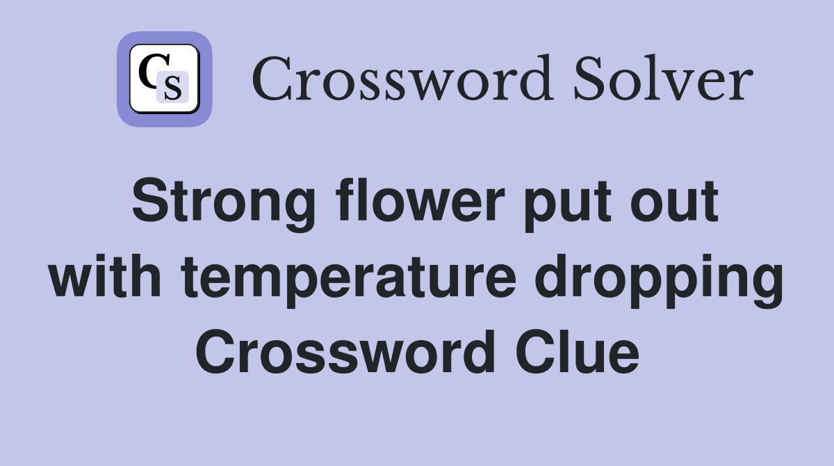 Strong flower put out with temperature dropping Crossword Clue