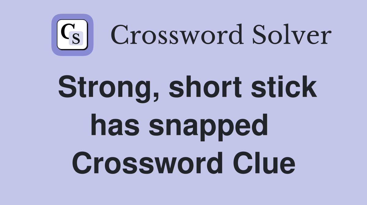 Strong, short stick has snapped  Crossword Clue