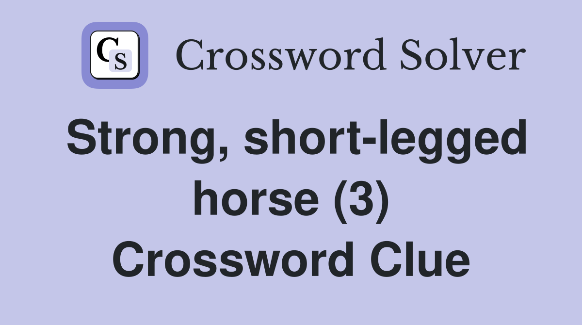 Strong, short-legged horse (3) Crossword Clue