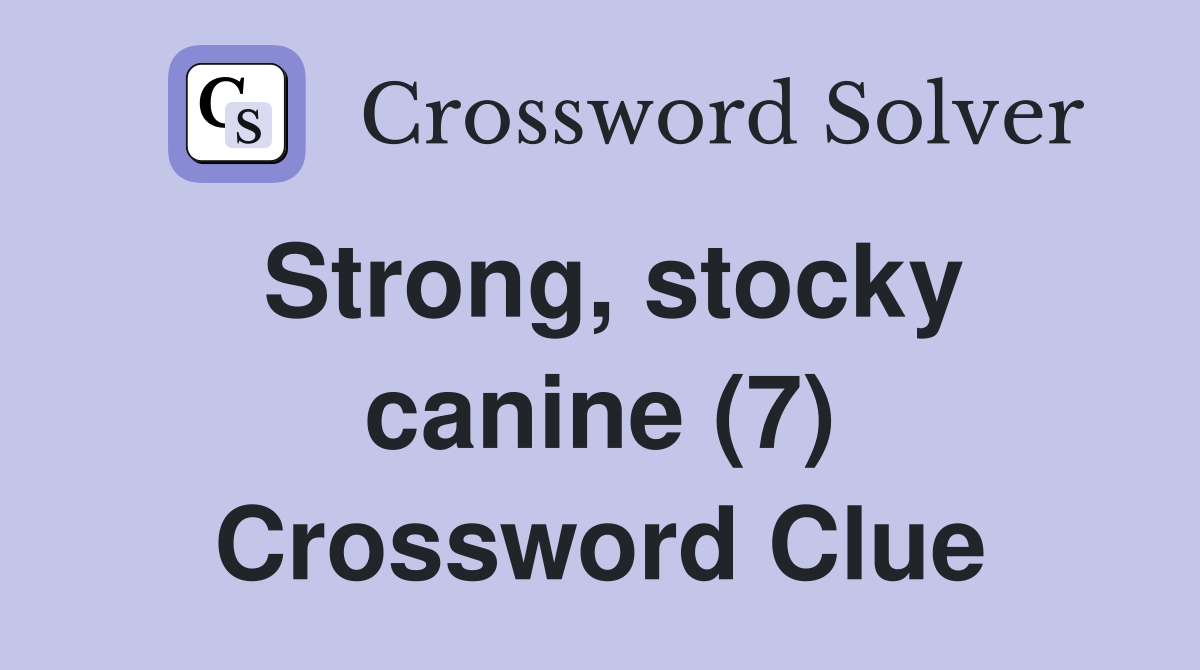 Strong, stocky canine (7) Crossword Clue