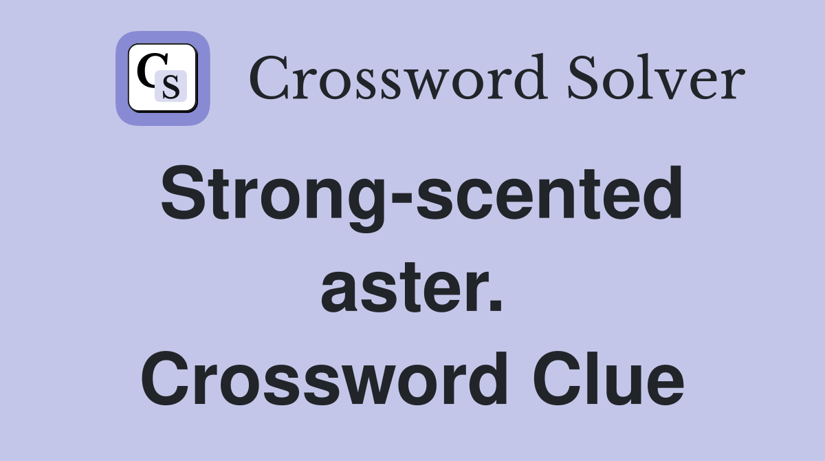 Strong-scented aster. Crossword Clue