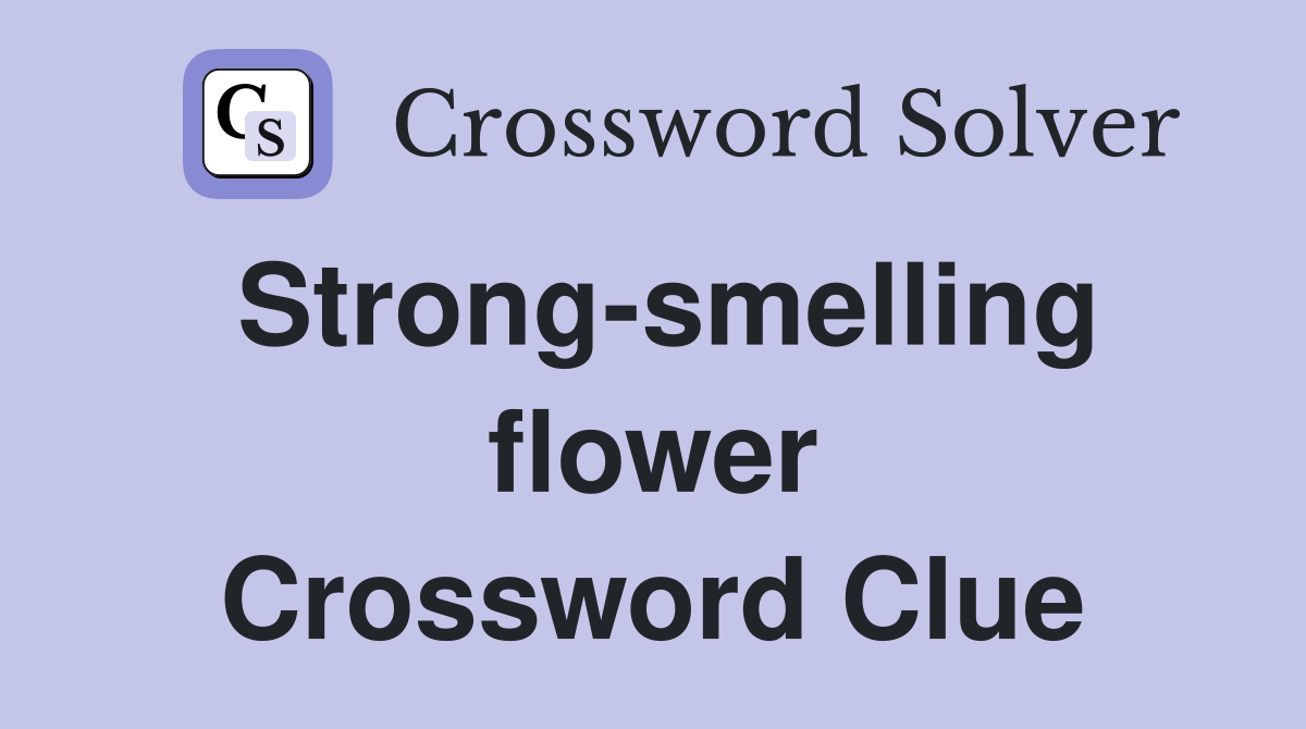 Strong-smelling flower Crossword Clue