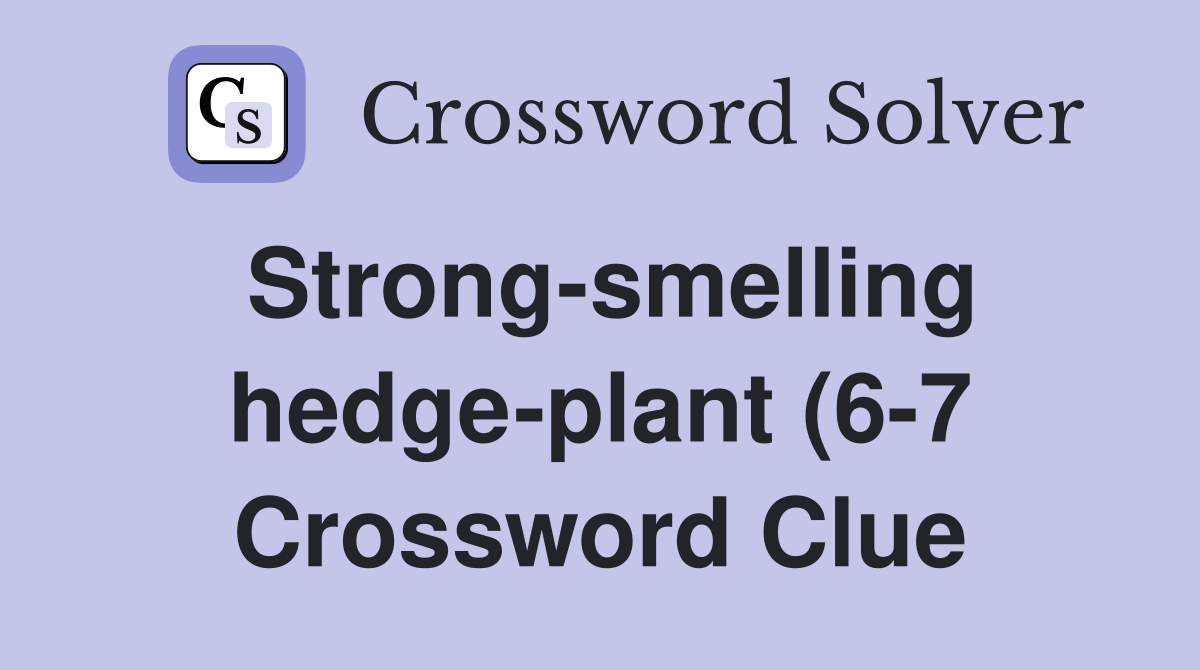Strong smelling hedge plant (6 7) Crossword Clue Answers Crossword Strong smelling hedge plant (6 7) Crossword Clue Answers Crossword