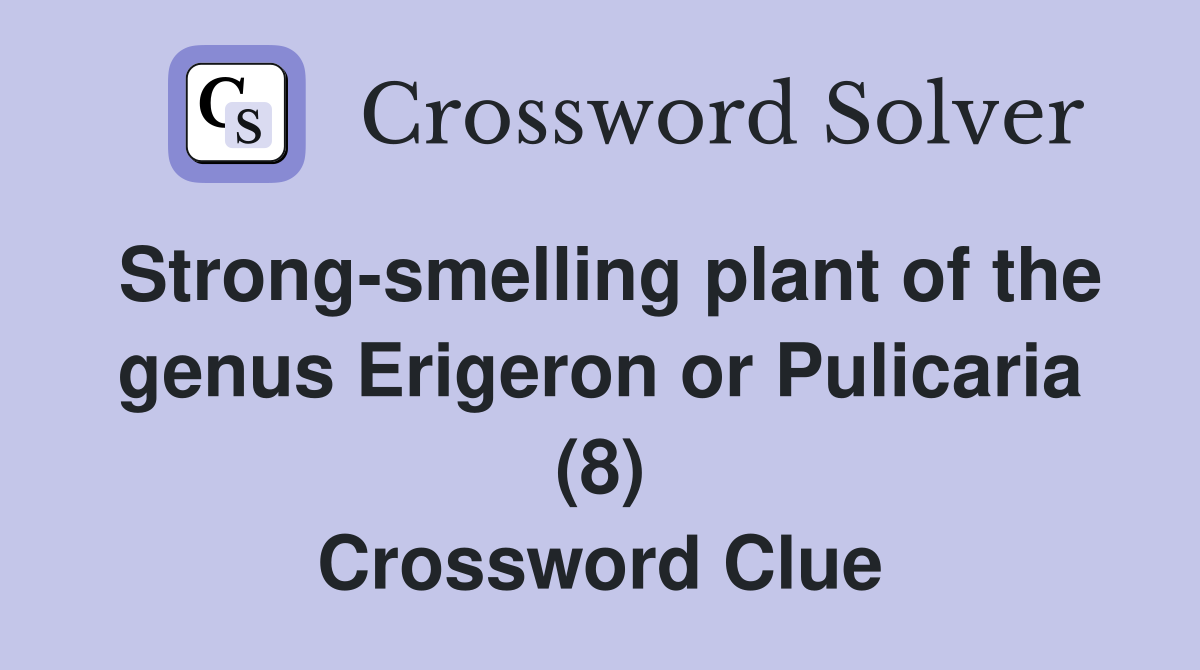 Strong-smelling plant of the genus Erigeron or Pulicaria (8) Crossword Clue