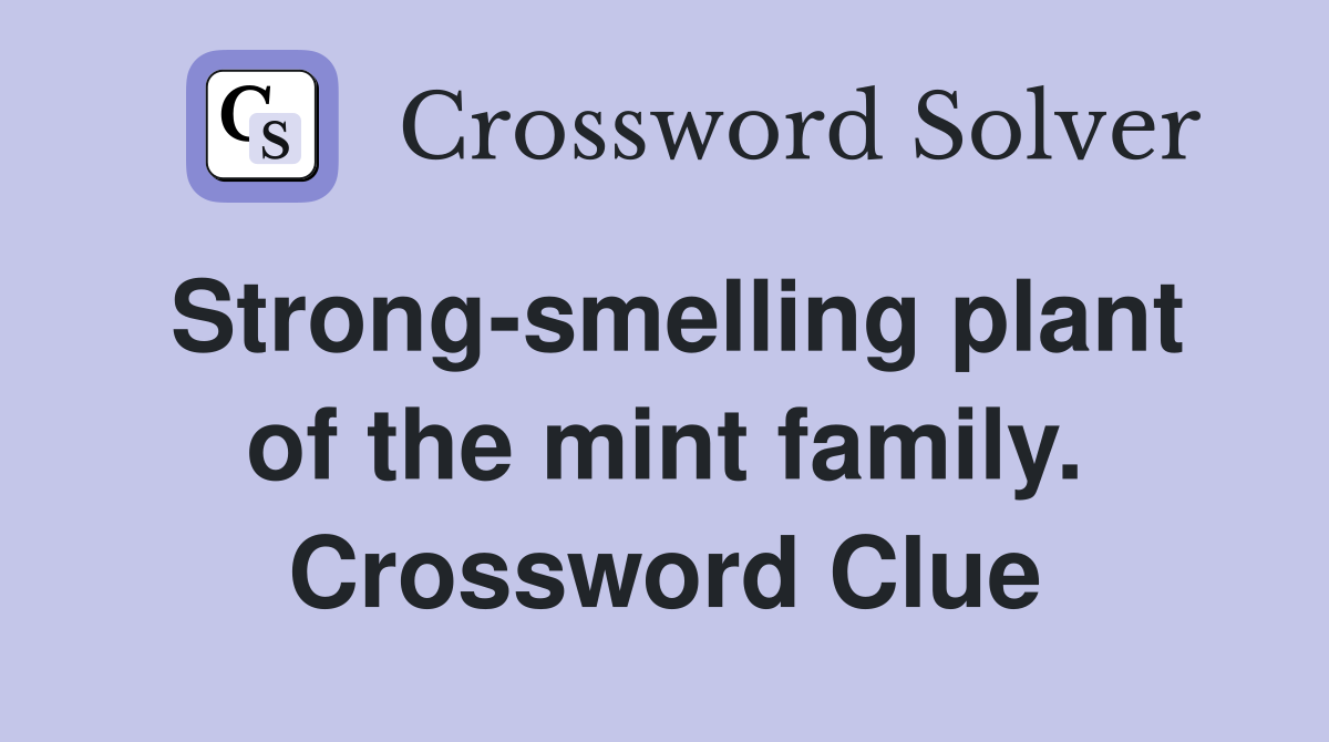 Strong-smelling plant of the mint family. Crossword Clue