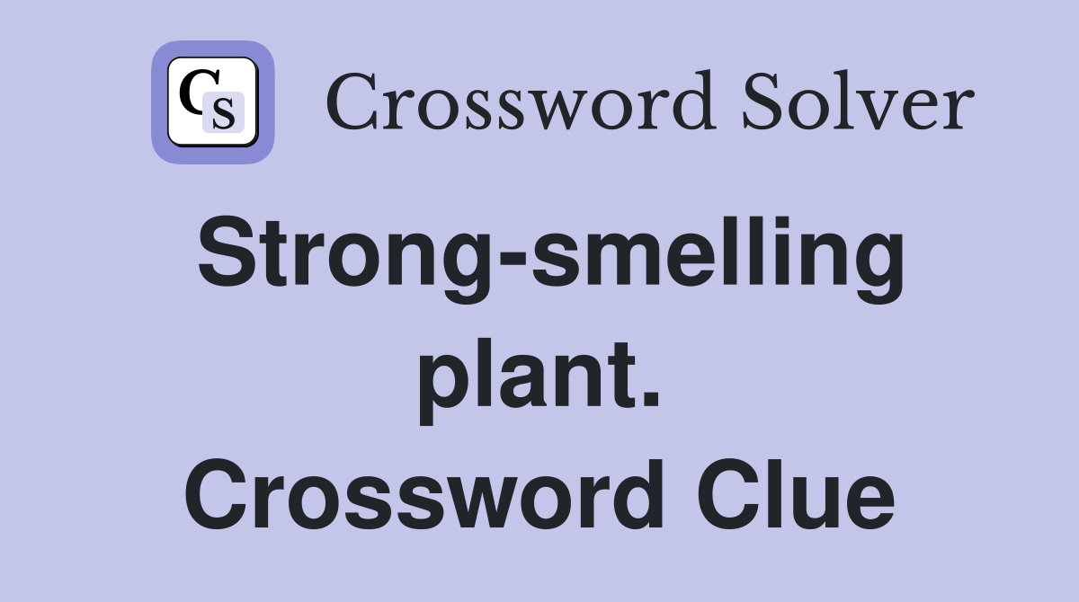 Strong-smelling plant. Crossword Clue